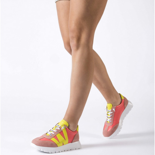 ALLEGRIA - Coral Combo