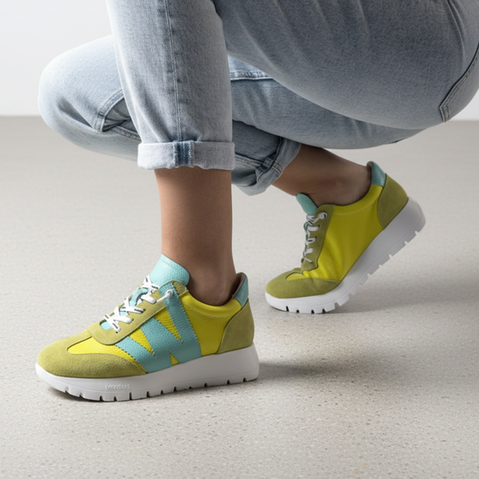 ALLEGRIA - Cyber Combo