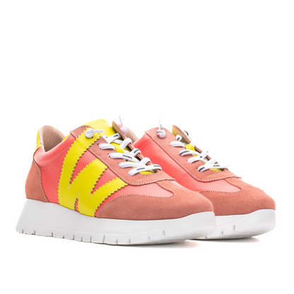 ALLEGRIA - Coral Combo