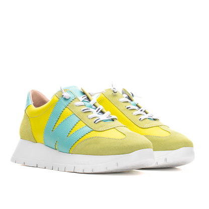 ALLEGRIA - Cyber Combo