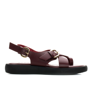 AMELIE - Plum