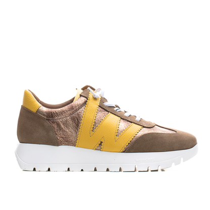 ARIES - Taupe Multi