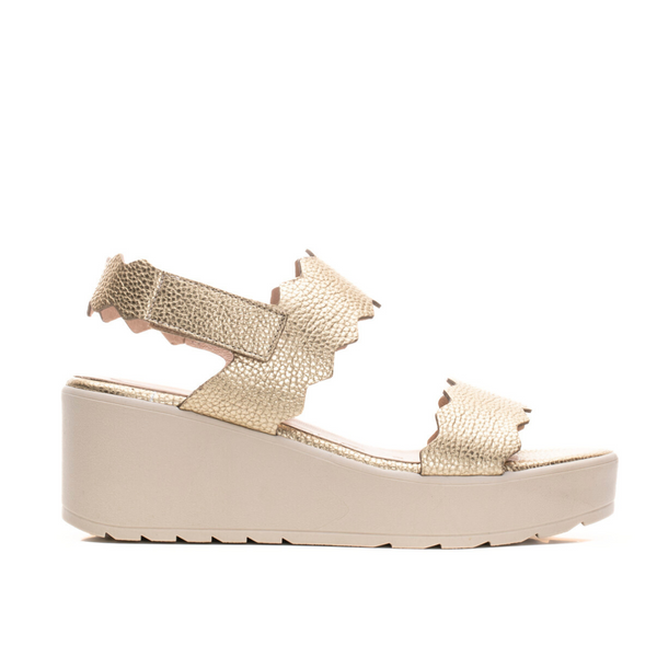 BIEN - Platinum – Step Ahead Shoes