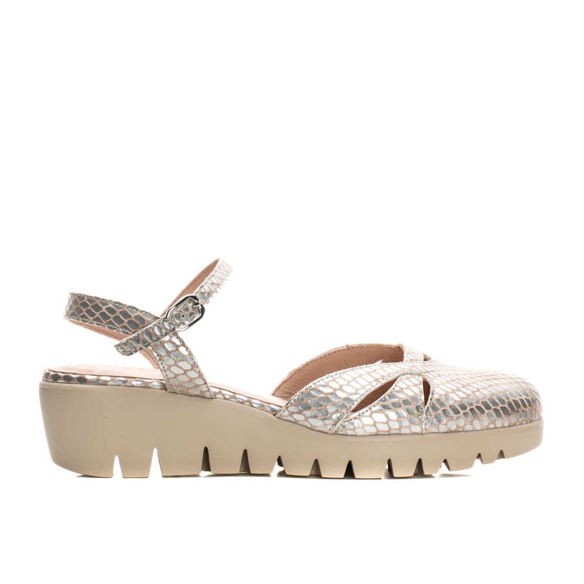 CLARA - Silver Python