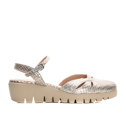 CLARA - Silver Python