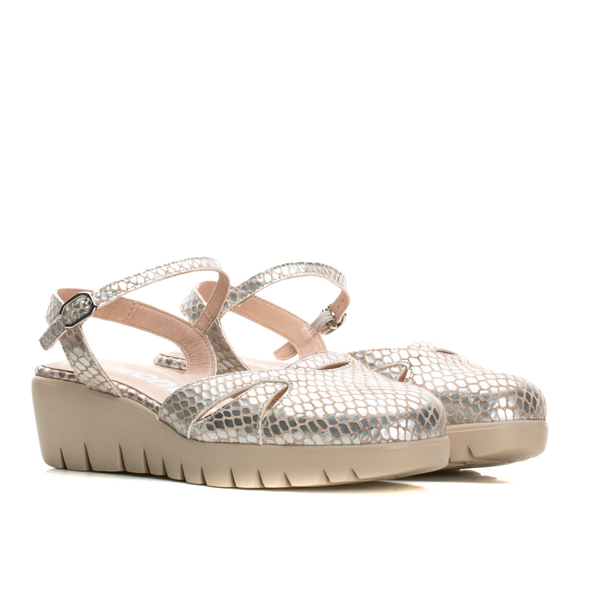CLARA - Silver Python