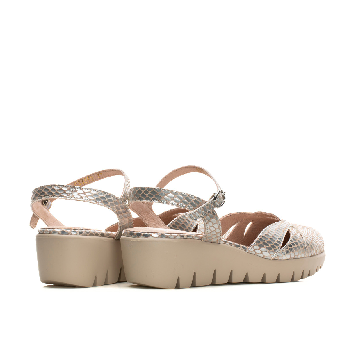 CLARA - Silver Python