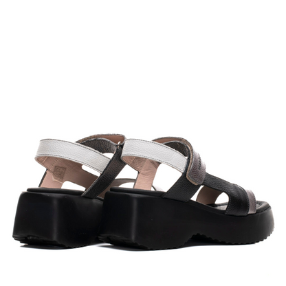 DOLCI - Gunmetal Combo