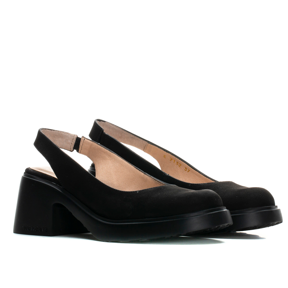 EVEREST - Black