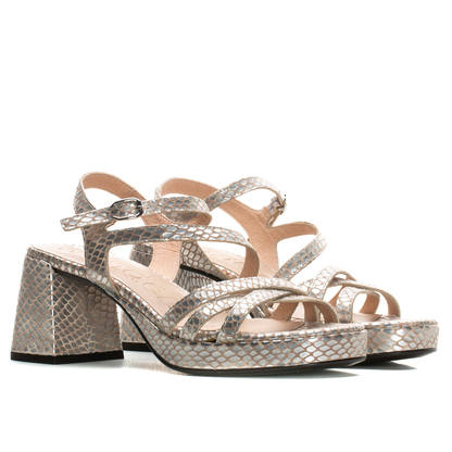 GRACE - Silver Python