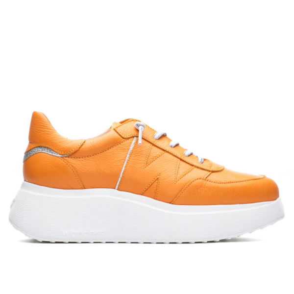 AMICA - Apricot