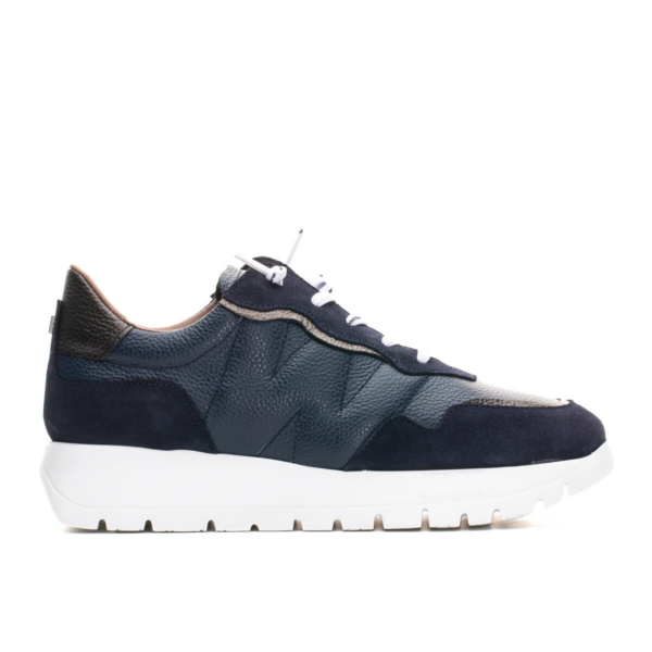 ANTONELLI - Navy
